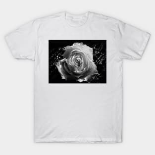 Rose and lace in black and white T-Shirt